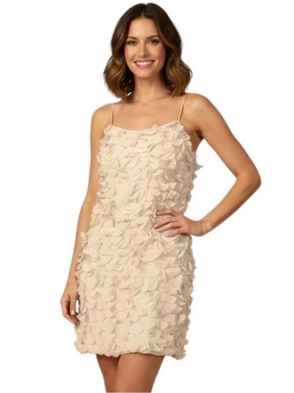 Aidan by Aidan Mattox Short Chiffon Cocktail Dress 4 Beige Prom Cocktail $245